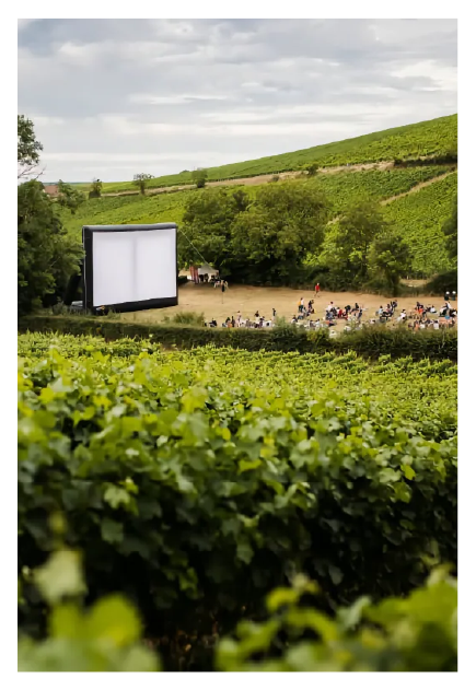 OC ciné – Desktop – First view – Vignes 1/3 OC ciné - Desktop - First view - Vignes 1/3